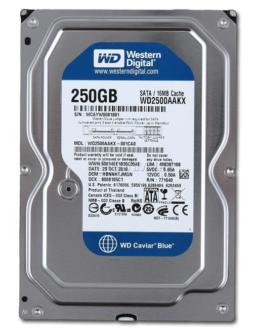 Ổ cứng WD Caviar Blue 250GB